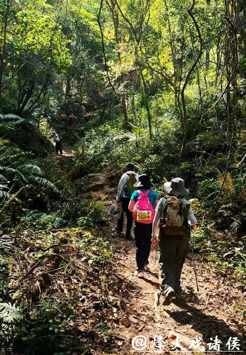 河源：绿美灵动的徒步之城丨探寻广东21城体育性格
